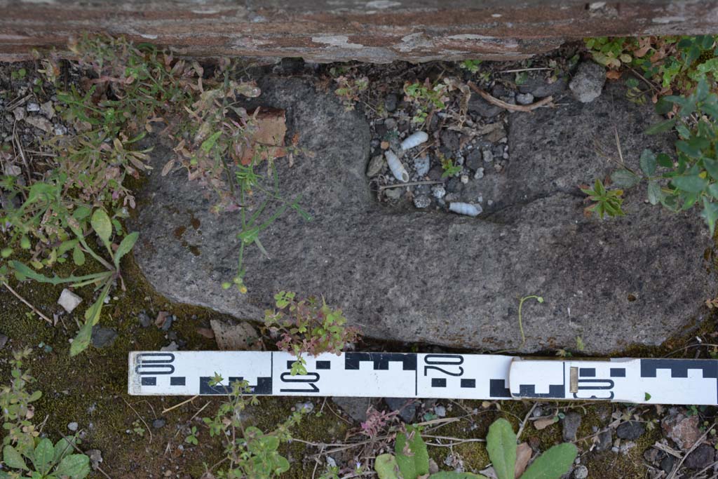 IX.5.2 Pompeii. May 2017. Room �k�, detail from doorway on west side of tablinum.
Foto Christian Beck, ERC Grant 681269 D�COR.

