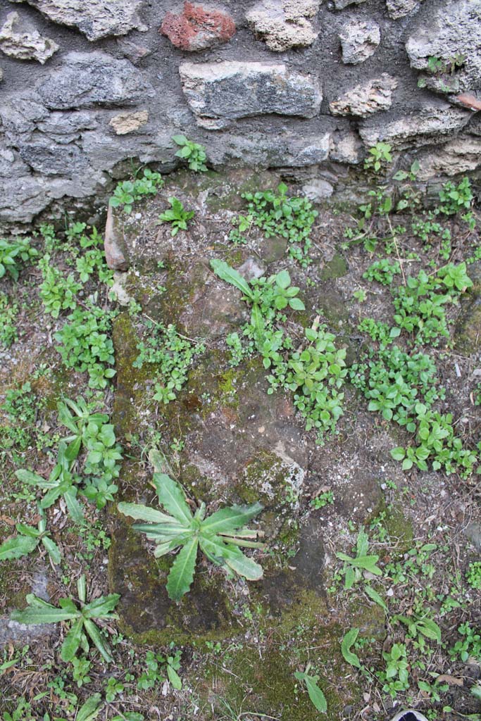IX.5.4 Pompeii. March 2019. Room e, near lower west wall.
Foto Christian Beck, ERC Grant 681269 D�COR.
