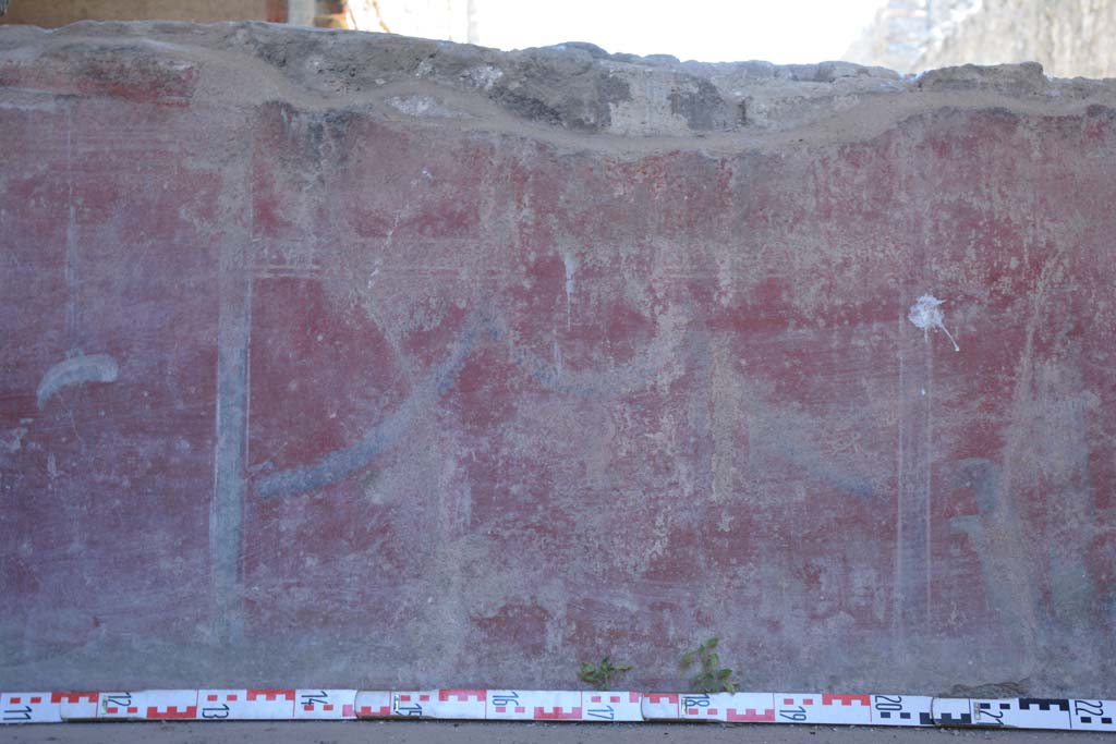 IX.5.6 Pompeii. May 2017. Room i, zoccolo from south wall below window.          
Foto Christian Beck, ERC Grant 681269 D�COR.

