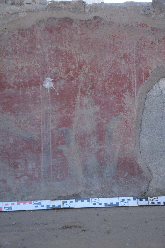 IX.5.6 Pompeii. May 2017. Room i, painted plant on zoccolo from south wall below window.          
Foto Christian Beck, ERC Grant 681269 D�COR.

