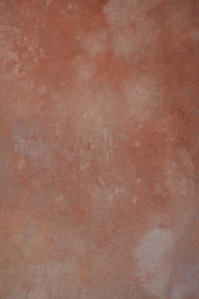 IX.5.6 Pompeii. May 2017. 
Room i, detail of figure from centre of panel on south wall on west side.
Foto Christian Beck, ERC Grant 681269 D�COR.

