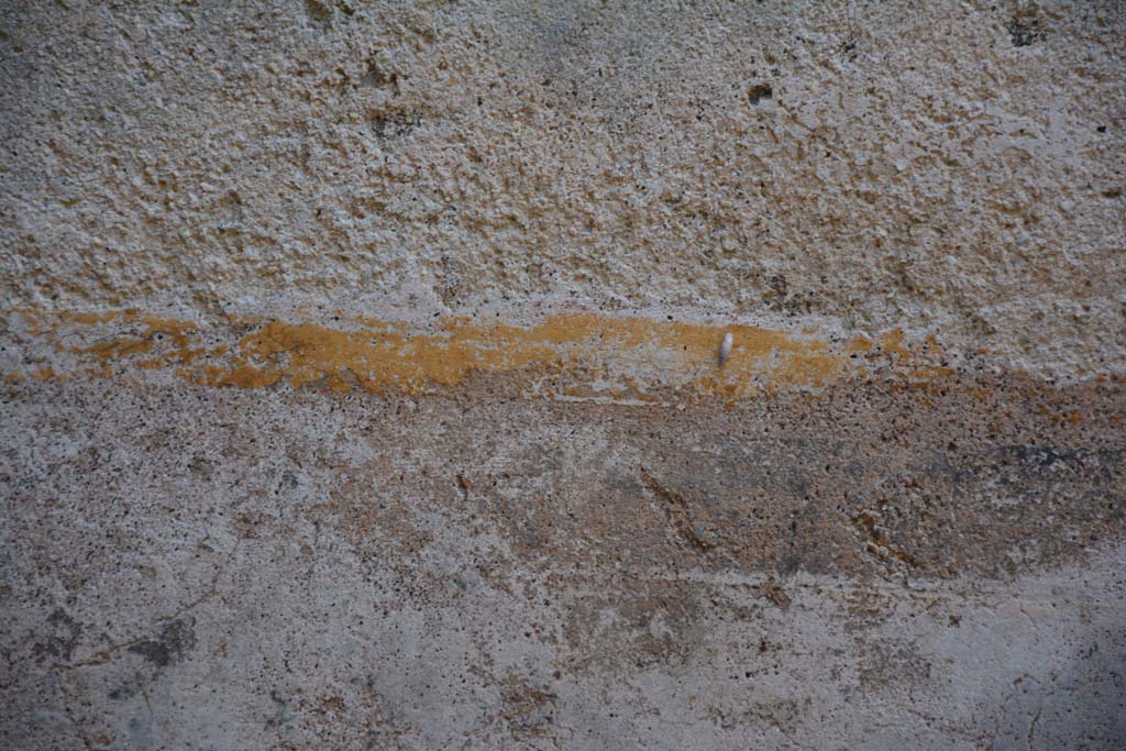 IX.5.6 Pompeii. May 2017. Room o, detail from east wall in north-east corner. 
Foto Christian Beck, ERC Grant 681269 D�COR.

