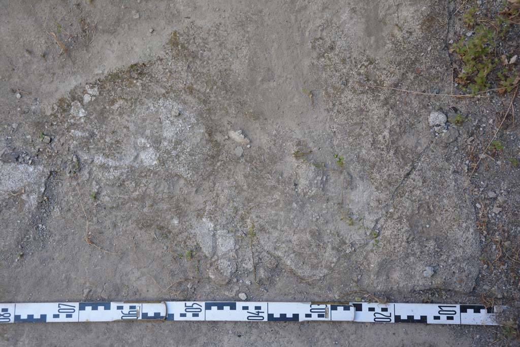 IX.5.6 Pompeii. May 2017. Room o, detail of flooring. 
Foto Christian Beck, ERC Grant 681269 D�COR.

