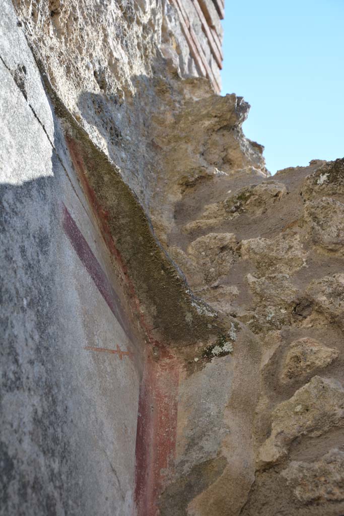 IX.5.6 Pompeii. May 2017. Room o, detail of upper south-west corner. 
Foto Christian Beck, ERC Grant 681269 D�COR.

