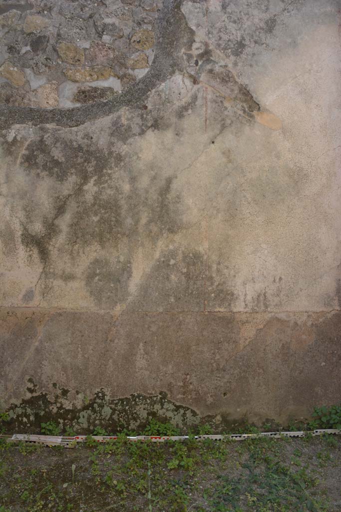 IX.5.6 Pompeii. May 2017. Room r, detail from lower south wall at east end. 
Foto Christian Beck, ERC Grant 681269 D�COR.
