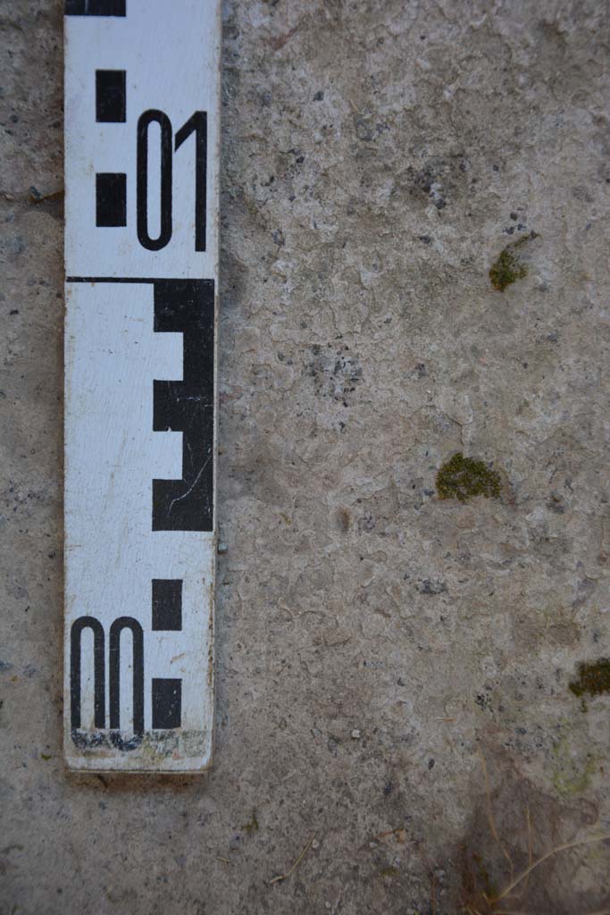 IX.5.6 Pompeii. May 2017. Room t, detail from flooring.
Foto Christian Beck, ERC Grant 681269 DÉCOR.