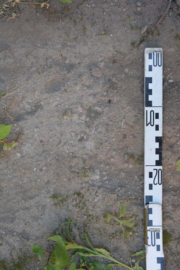 IX.5.6 Pompeii. May 2017. Room s, flooring.
Foto Christian Beck, ERC Grant 681269 D�COR.
