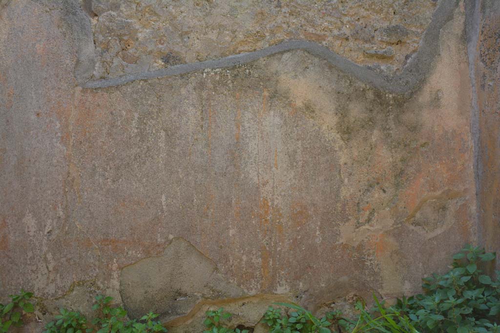 IX.5.6 Pompeii. May 2017. Room s, detail from south wall.
Foto Christian Beck, ERC Grant 681269 D�COR.
