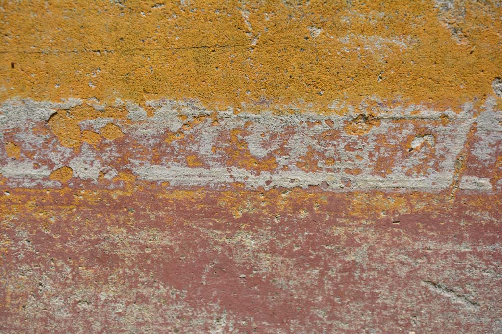 IX.5.6 Pompeii. May 2017. Room s, detail from north wall, zoccolo below, and area separating it from middle of wall, above.
Foto Christian Beck, ERC Grant 681269 D�COR.
