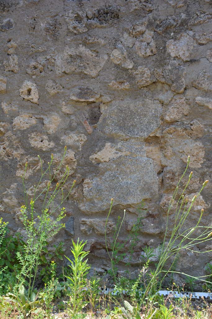 IX.5.6 Pompeii. May 2017. Room u, detail from west wall.
Foto Christian Beck, ERC Grant 681269 DÉCOR.