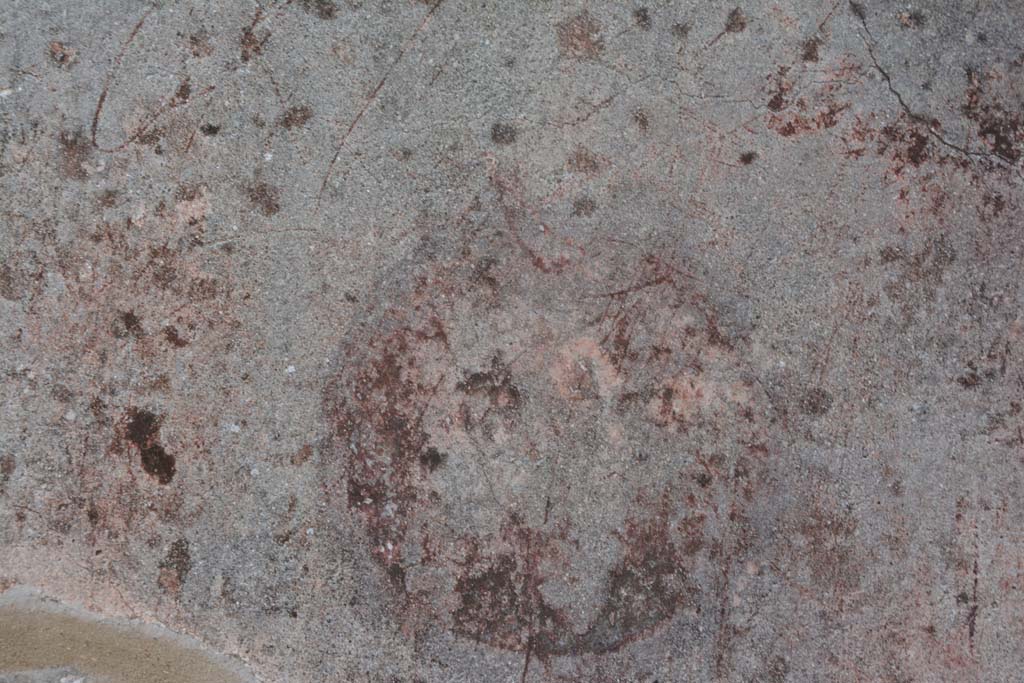 IX.5.6 Pompeii. May 2017. West ala d, west wall at north end, detail of medallion.
Foto Christian Beck, ERC Grant 681269 D�COR.
