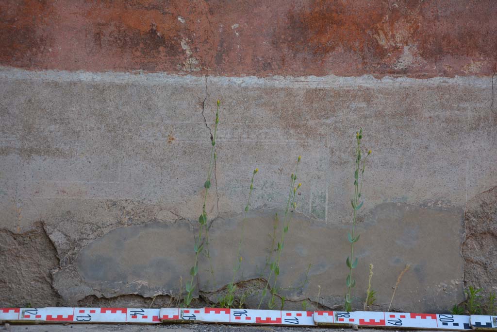 IX.5.6 Pompeii. May 2017. West ala d, panel from zoccolo in centre at east end of north wall.
Foto Christian Beck, ERC Grant 681269 D�COR.
