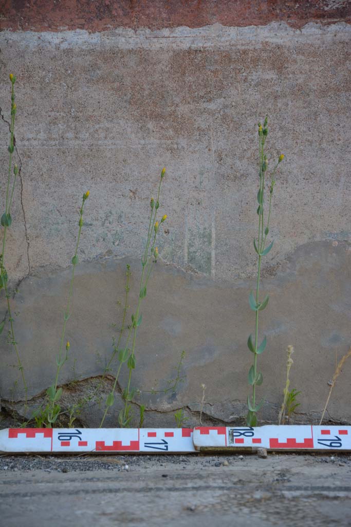 IX.5.6 Pompeii. May 2017. West ala d, detail of zoccolo on north wall. 
Foto Christian Beck, ERC Grant 681269 D�COR.
