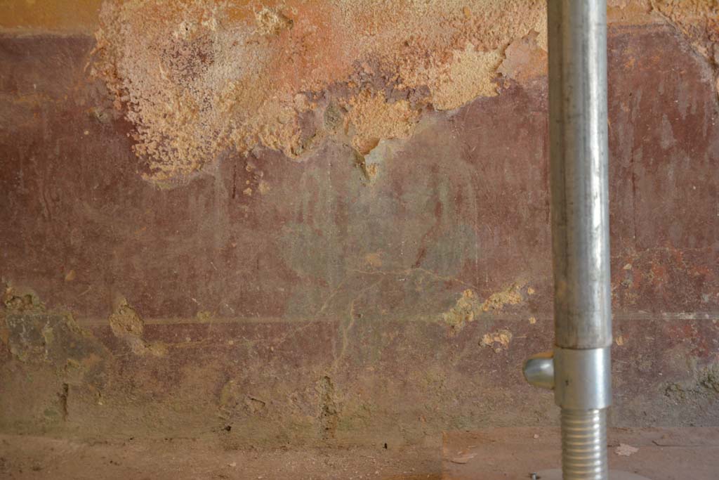 IX.5.6 Pompeii. May 2017. Room h, detail of zoccolo on north wall at west end.
Foto Christian Beck, ERC Grant 681269 DÉCOR.
The purple zoccolo shows, in the long side panels, plants with wide fleshy leaves and in the central compartment a plate.