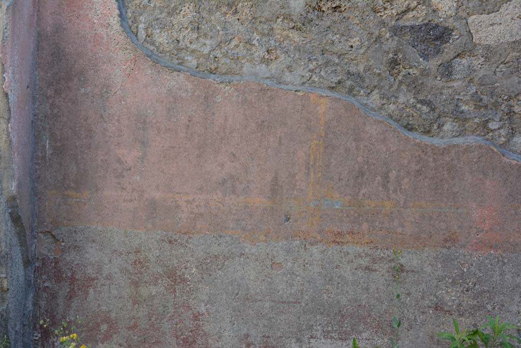 IX.5.6 Pompeii. May 2017. Room f, detail from zoccolo in south-west corner. 
Foto Christian Beck, ERC Grant 681269 D�COR.
