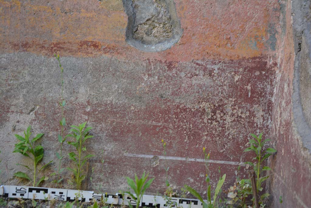 IX.5.6 Pompeii. May 2017. Room f, detail of zoccolo on west wall in north-west corner. 
Foto Christian Beck, ERC Grant 681269 D�COR.
