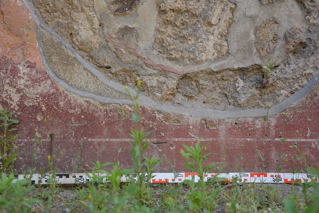 IX.5.6 Pompeii. May 2017. Room f, detail from zoccolo on north wall at west end
Foto Christian Beck, ERC Grant 681269 D�COR.
