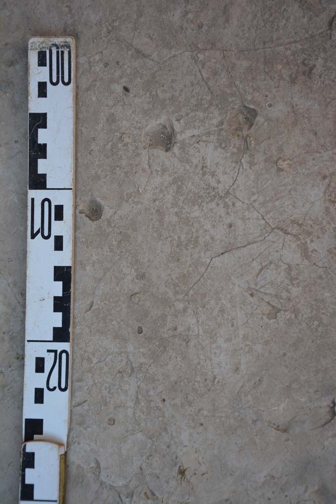 IX.5.6 Pompeii. May 2017. Room f, detail from flooring in north-east corner. 
Foto Christian Beck, ERC Grant 681269 D�COR.
