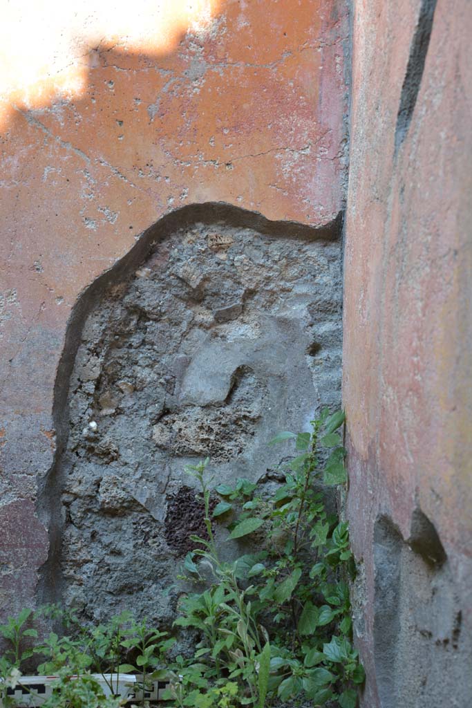 IX.5.6 Pompeii. May 2017. Room f, detail from east wall in south-east corner.
Foto Christian Beck, ERC Grant 681269 D�COR.

