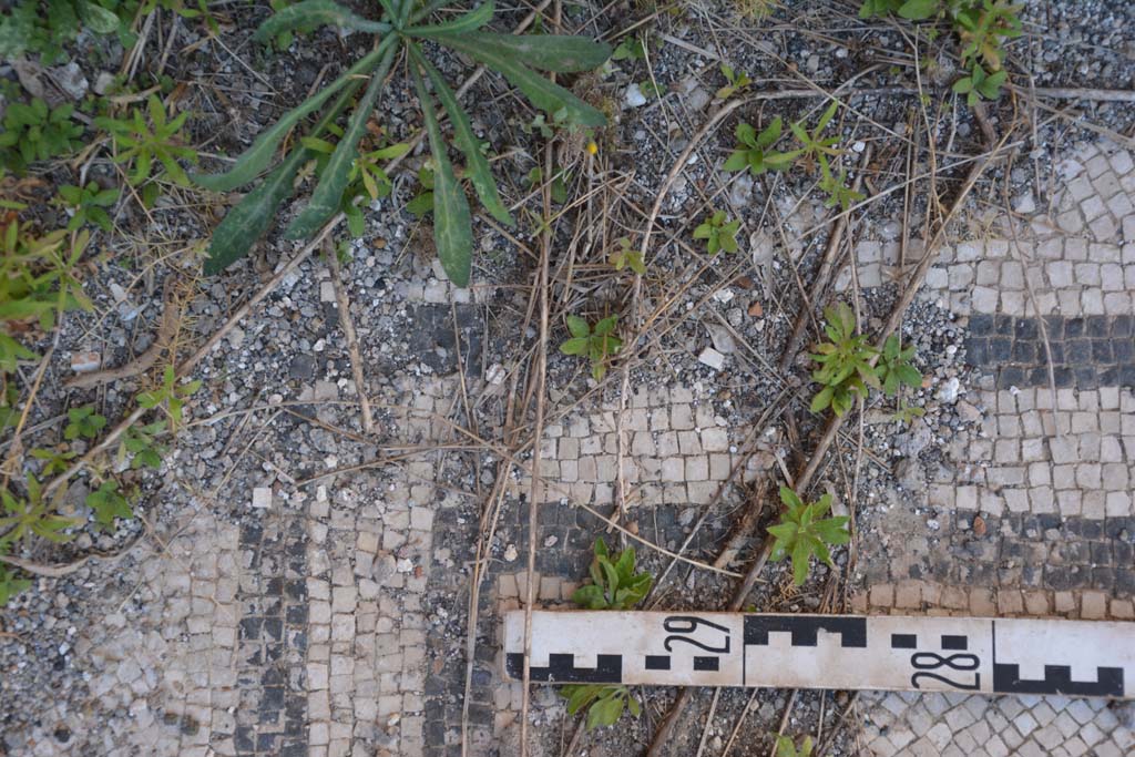 IX.5.6 Pompeii. May 2017. East ala e, detail of flooring, two black bands and white mosaic.
Foto Christian Beck, ERC Grant 681269 D�COR.

