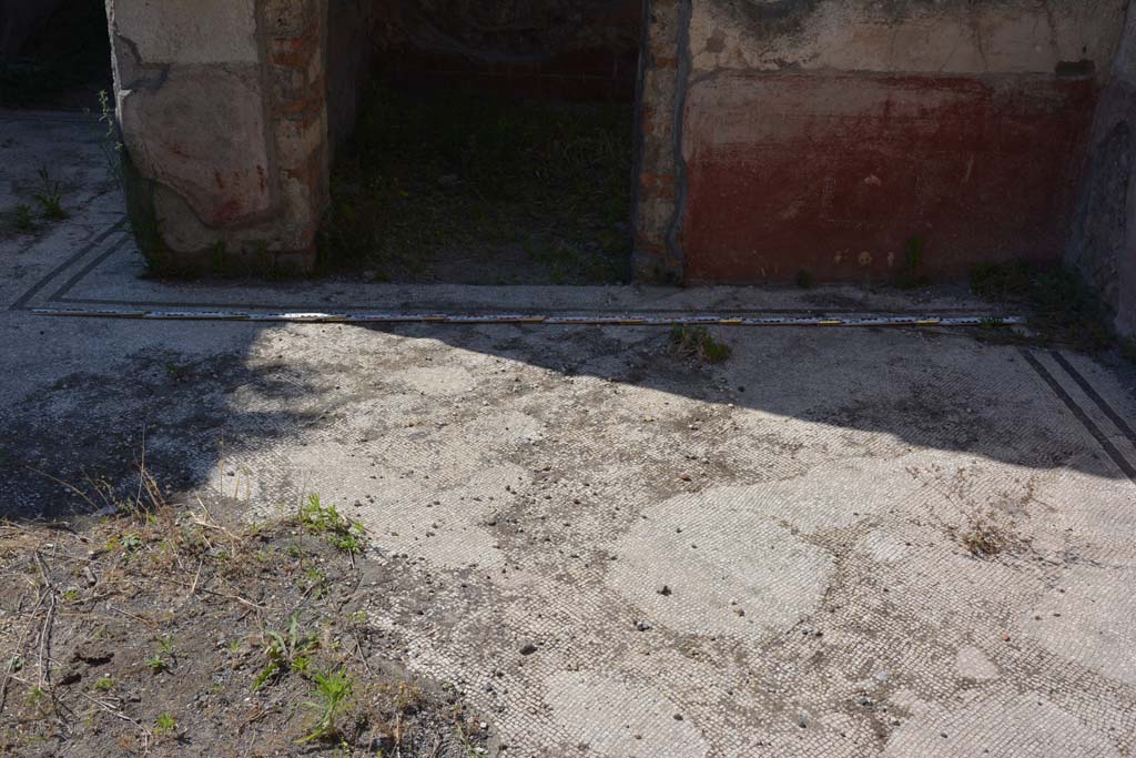 IX.5.6 Pompeii. May 2017. East ala e, looking north across flooring.
Foto Christian Beck, ERC Grant 681269 D�COR.


