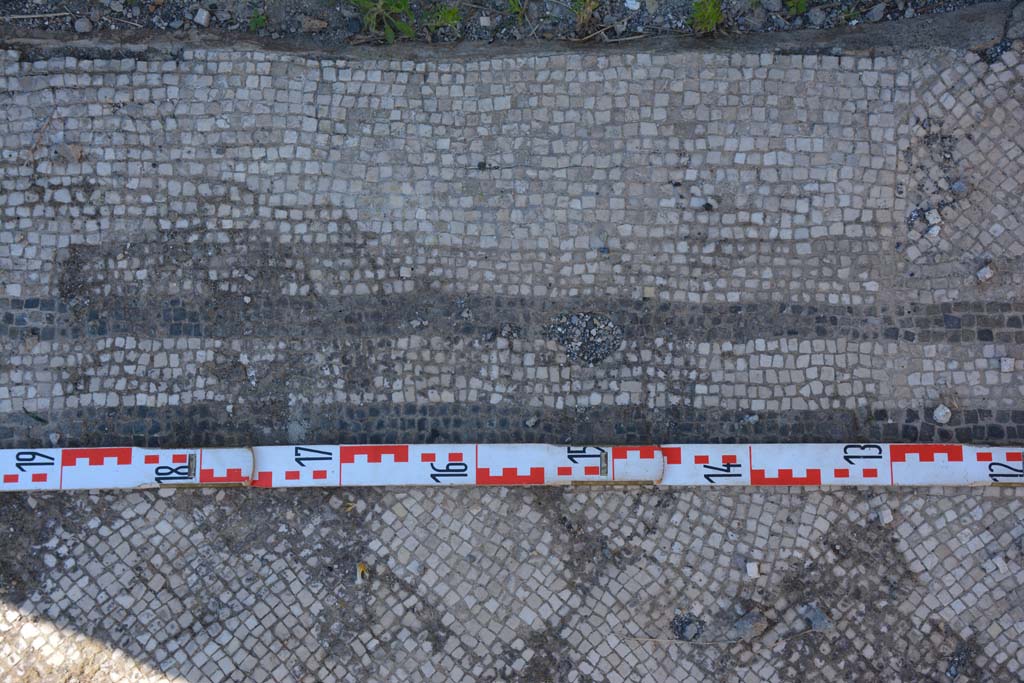 IX.5.6 Pompeii. May 2017. East ala e, detail of mosaic flooring near doorway to room f.
Foto Christian Beck, ERC Grant 681269 D�COR.

