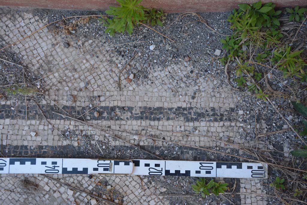 IX.5.6 Pompeii. May 2017. East ala e, detail of mosaic flooring in north-east corner.
Foto Christian Beck, ERC Grant 681269 D�COR.
