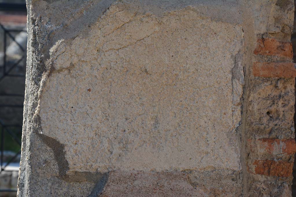 IX.5.6 Pompeii. May 2017. East ala e, detail from north wall at west end.
Foto Christian Beck, ERC Grant 681269 D�COR.

