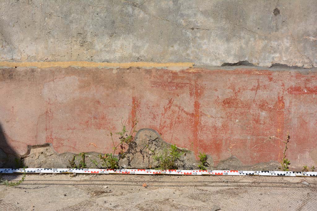 IX.5.6 Pompeii. May 2017. East ala e, continuation of zoccolo of east wall. 
Foto Christian Beck, ERC Grant 681269 D�COR.
