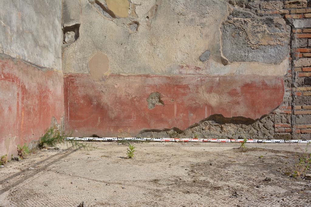 IX.5.6 Pompeii. May 2017. East ala e, looking across flooring towards zoccolo on south wall. 
Foto Christian Beck, ERC Grant 681269 D�COR.
