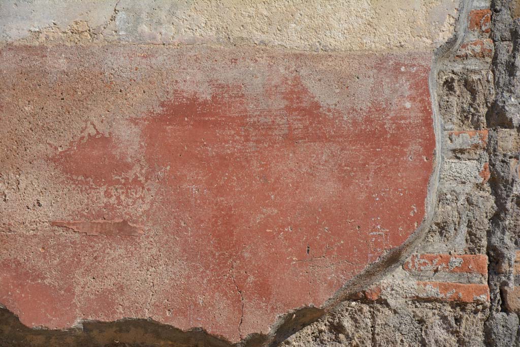 IX.5.6 Pompeii. May 2017. East ala e, detail of zoccolo on south wall at west end. 
Foto Christian Beck, ERC Grant 681269 D�COR.
