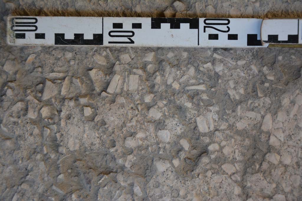 IX.5.6 Pompeii. May 2017. Room g, detail of flooring.
Foto Christian Beck, ERC Grant 681269 DÉCOR.
