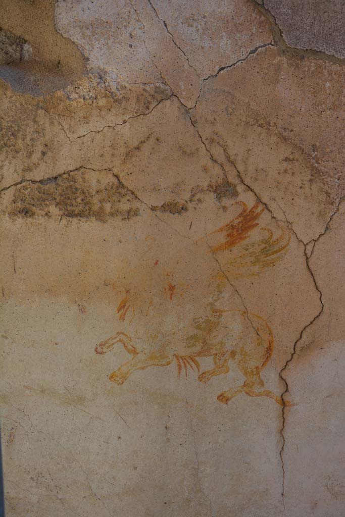 IX.5.6 Pompeii. May 2017. Room k, (west side), detail from north wall.
Foto Christian Beck, ERC Grant 681269 DÉCOR.