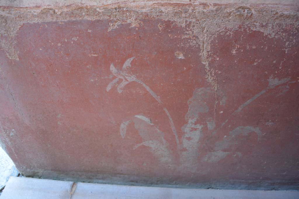 IX.5.6 Pompeii. May 2017. Room k, (east side), detail of painted plant from zoccolo on north wall. 
Foto Christian Beck, ERC Grant 681269 D�COR.

