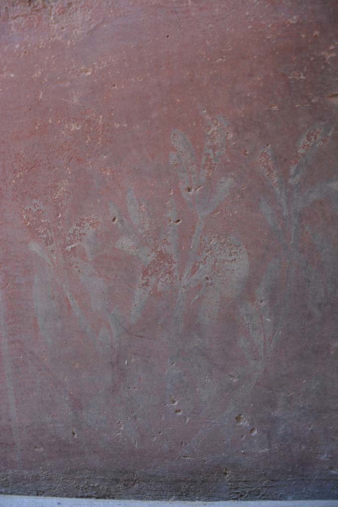 IX.5.6 Pompeii. May 2017. 
Room k, (east side), detail of painted plant from zoccolo of north wall. 
Foto Christian Beck, ERC Grant 681269 D�COR.
