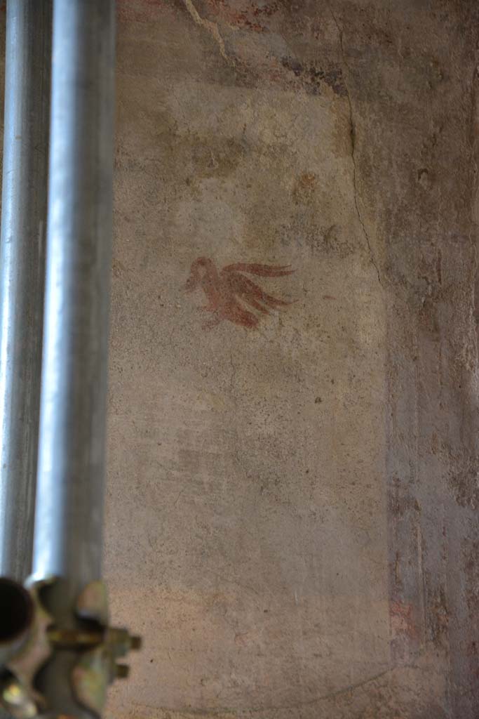 IX.5.6 Pompeii. May 2017. 
Room k, (east side), detail of painted swan from upper east end of north wall. 
Foto Christian Beck, ERC Grant 681269 D�COR.
