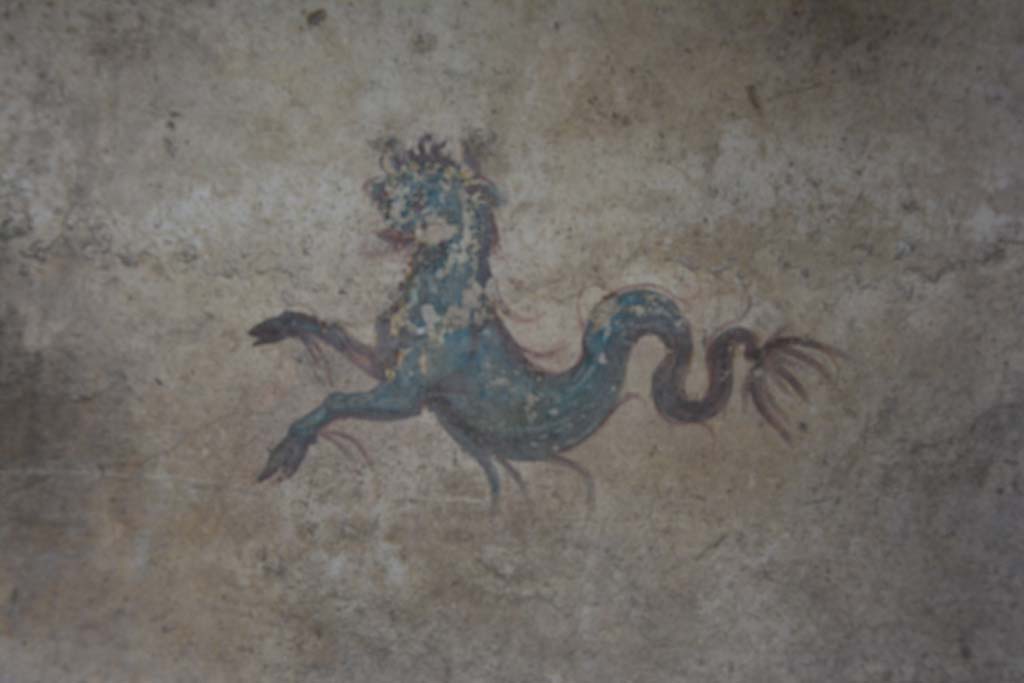 IX.5.6 Pompeii. March 2017. Room k�, detail of sea monster from east wall in north-east corner. 
Foto Christian Beck, ERC Grant 681269 D�COR.
