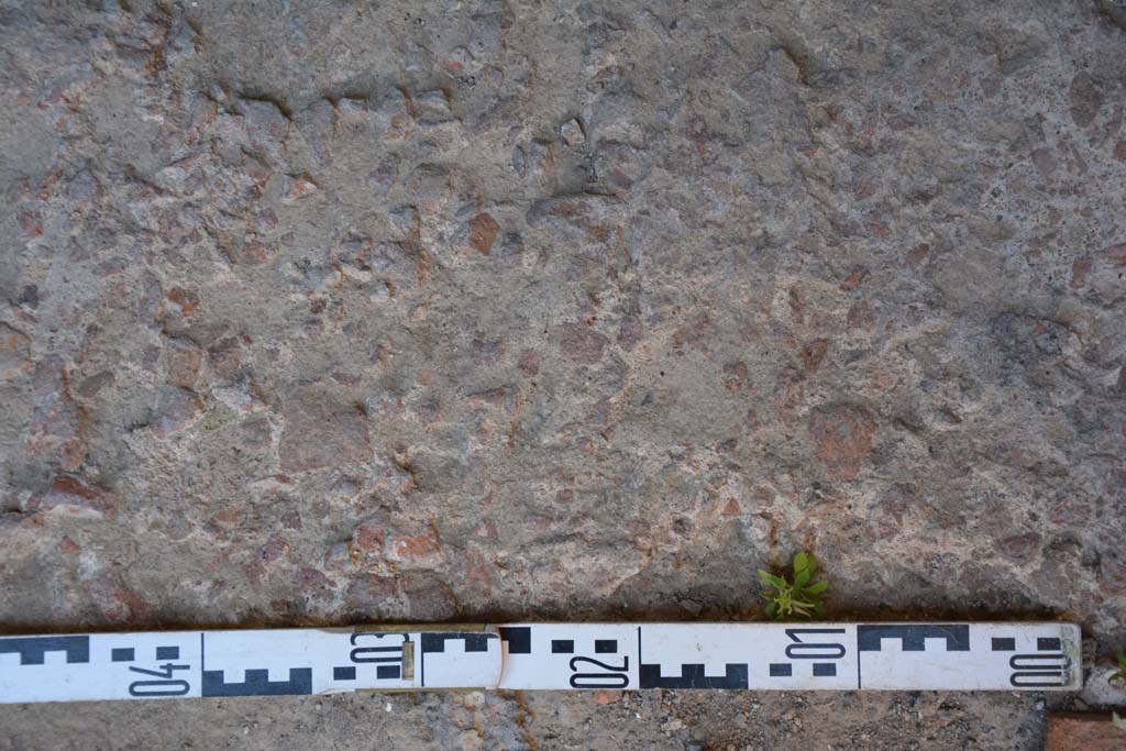 IX.5.6 Pompeii. May 2017. Room l (L), flooring. 
Foto Christian Beck, ERC Grant 681269 D�COR.
