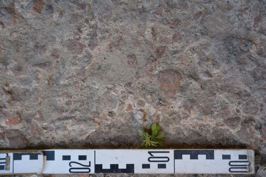 IX.5.6 Pompeii. May 2017. Room l (L), detail of flooring. 
Foto Christian Beck, ERC Grant 681269 D�COR.

