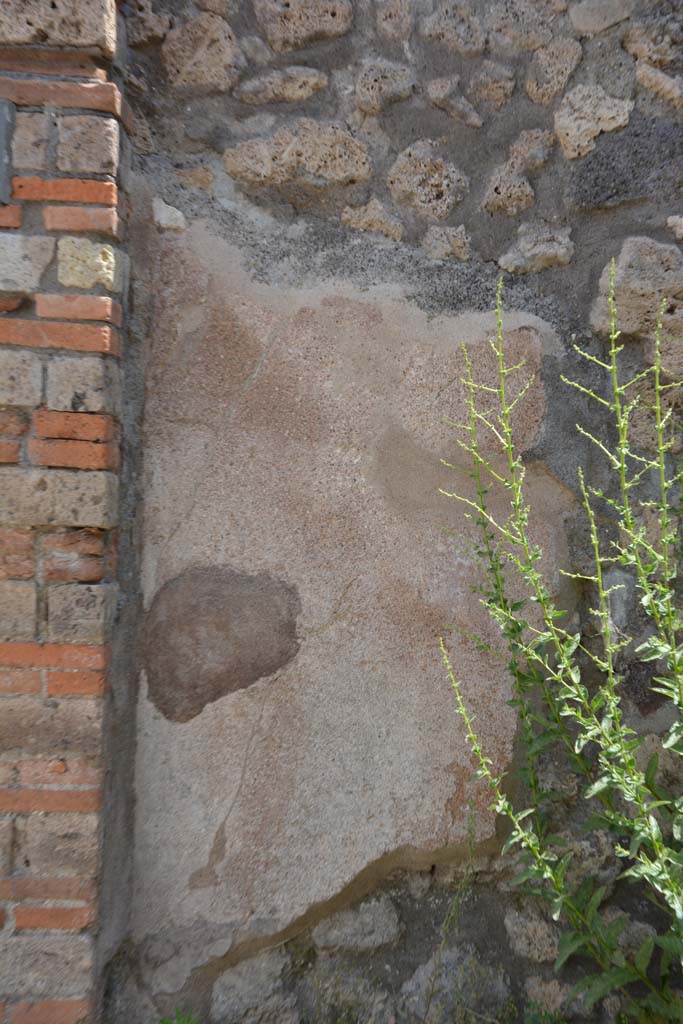IX.5.7 Pompeii. May 2017. Detail from east wall in north-east corner.
Foto Christian Beck, ERC Grant 681269 D�COR.

