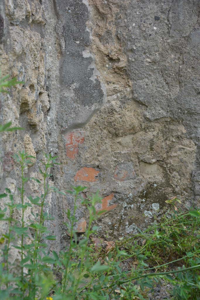 IX.5.8 Pompeii. May 2017. Detail from dividing pilaster against east wall, looking south.
Foto Christian Beck, ERC Grant 681269 D�COR.


