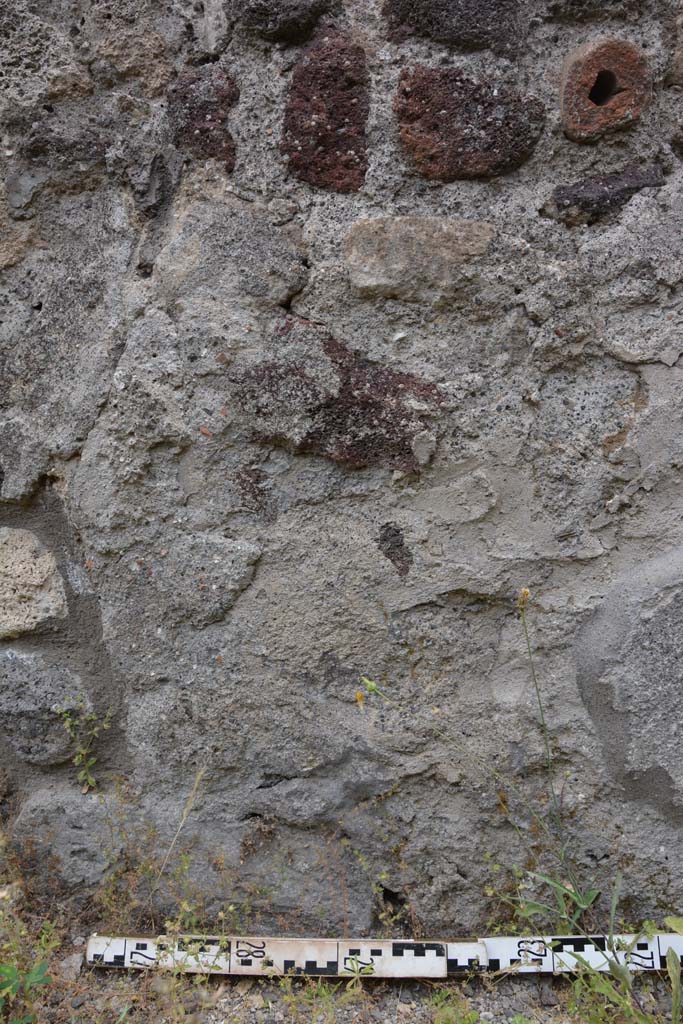 IX.5.8 Pompeii. May 2017. Detail from lower east wall at north end.
Foto Christian Beck, ERC Grant 681269 D�COR.

