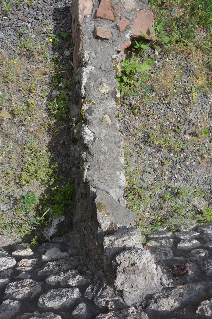 IX.5.8 Pompeii. May 2017. Looking down onto dividing wall.
Foto Christian Beck, ERC Grant 681269 D�COR.

