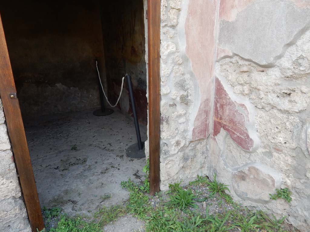 IX.5.9 Pompeii. June 2019. Detail of painted plaster on north side of doorway to room 8. Photo courtesy of Buzz Ferebee.