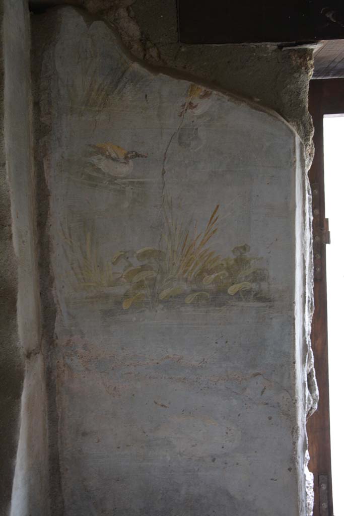 IX.5.9 Pompeii. March 2017. Room “l (L)”, upper east wall on north side of doorway.
Foto Christian Beck, ERC Grant 681269 DÉCOR.