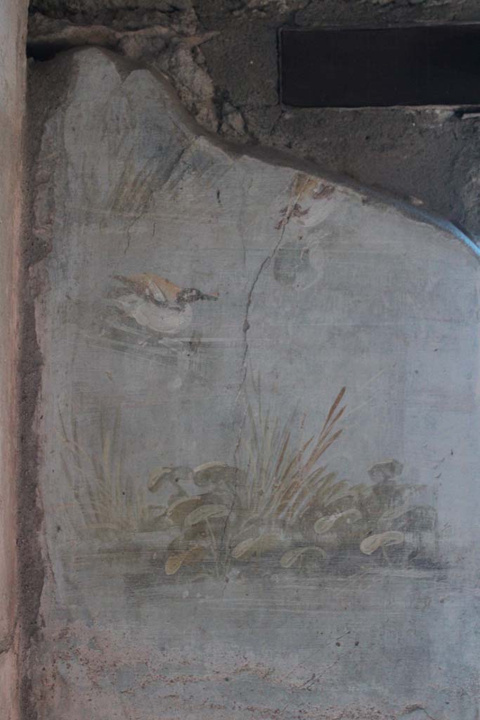 IX.5.9 Pompeii. May 2019. Room “l (L)”, detail from upper east wall.
Foto Christian Beck, ERC Grant 681269 DÉCOR.