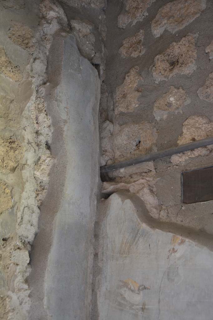 IX.5.9 Pompeii. May 2017. Room “l (L)”, upper north-east corner.
Foto Christian Beck, ERC Grant 681269 DÉCOR.