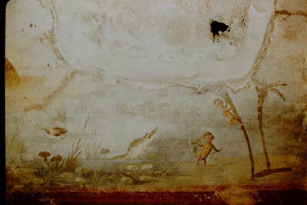 IX.5.9 Pompeii. 1957. Room 8. North wall at east end, with painted river scene with pygmies and crocodile. Photo by Stanley A. Jashemski.
Source: The Wilhelmina and Stanley A. Jashemski archive in the University of Maryland Library, Special Collections (See collection page) and made available under the Creative Commons Attribution-Non Commercial License v.4. See Licence and use details.
J57f0268