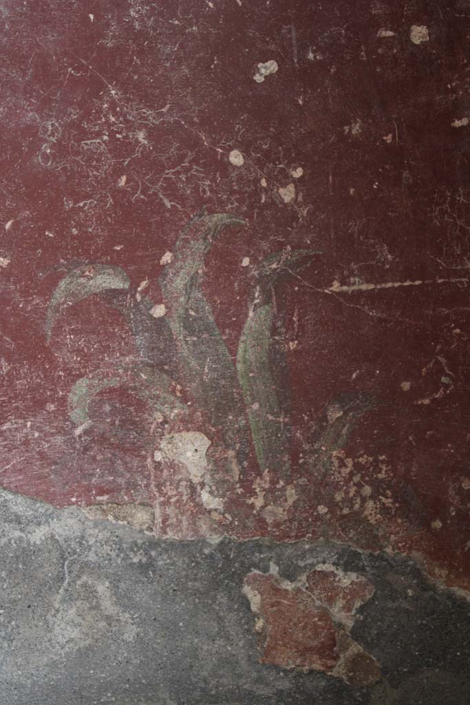 IX.5.9 Pompeii. May 2019.
Room l (L), detail of painted plant on lower zoccolo of north wall at east end.
Foto Christian Beck, ERC Grant 681269 DÉCOR.