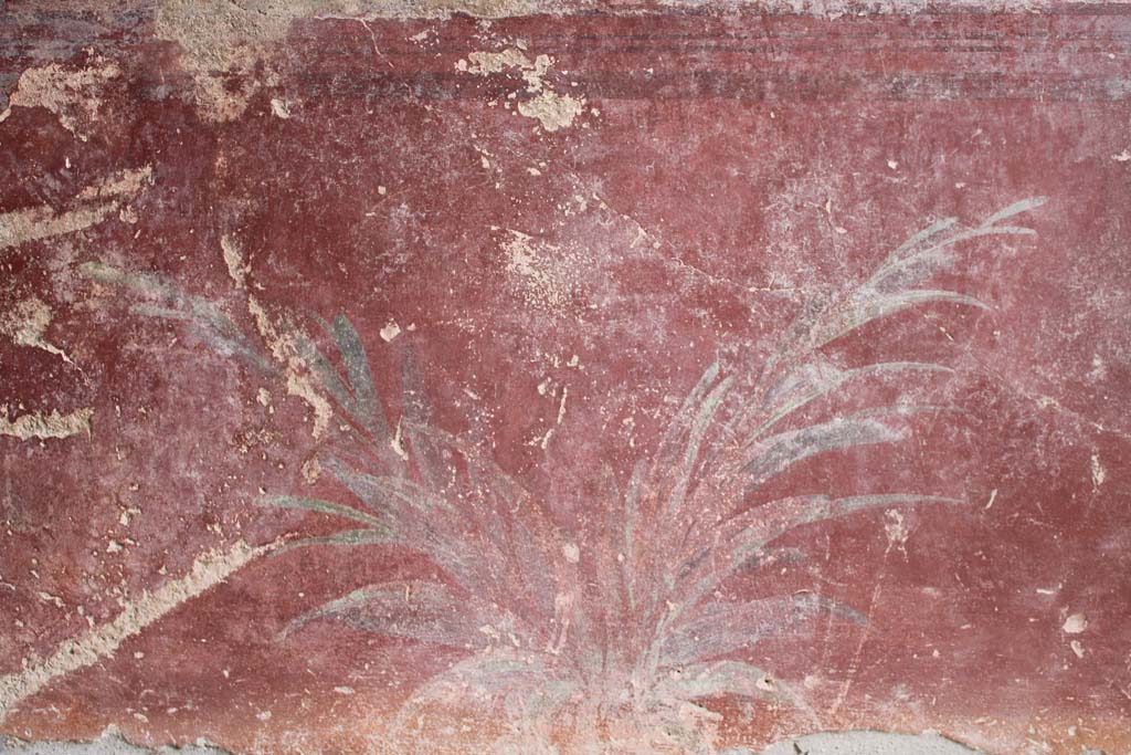 IX.5.9 Pompeii. May 2019. Room l (L), zoccolo on lower north wall towards centre.
Foto Christian Beck, ERC Grant 681269 DÉCOR.